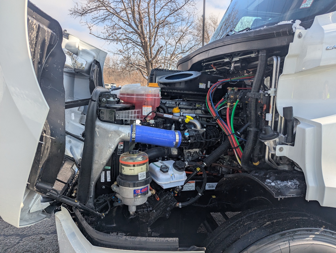 2026 Freightliner - image 11