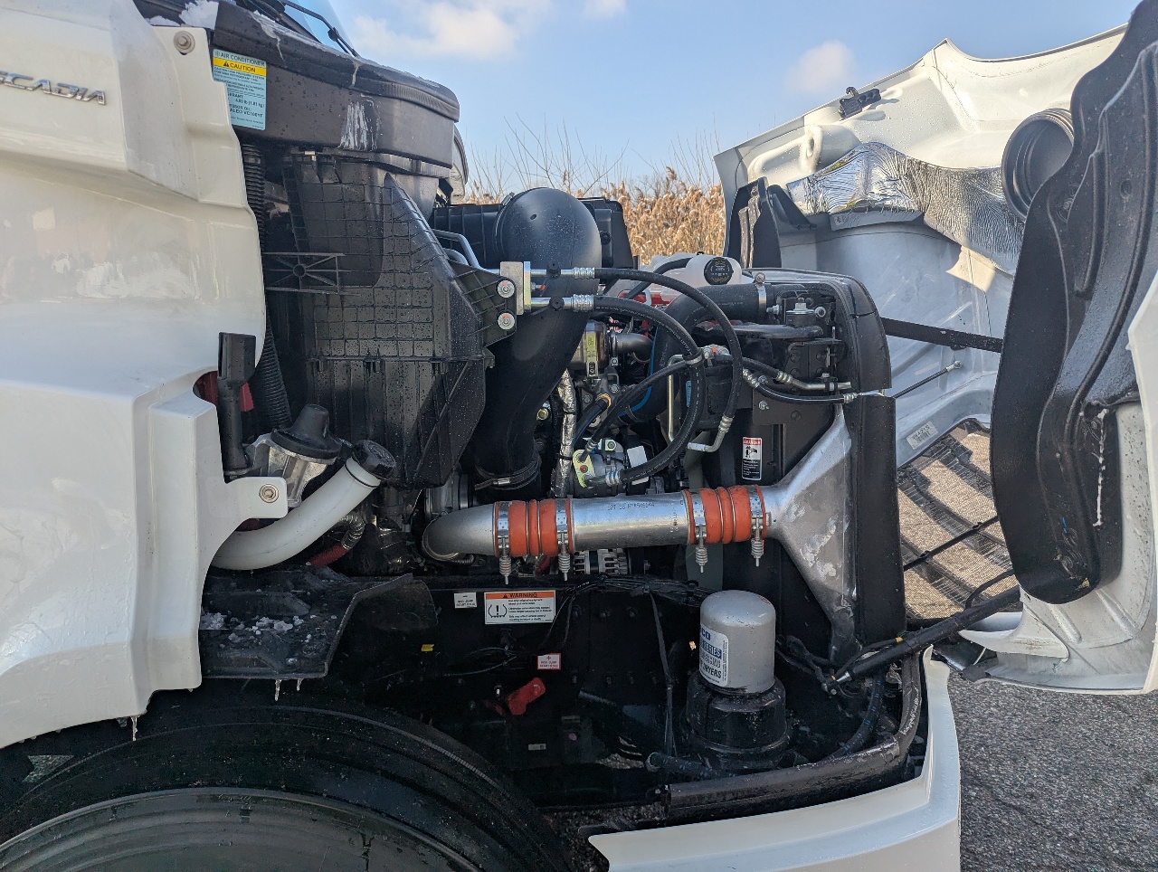 2026 Freightliner - image 12