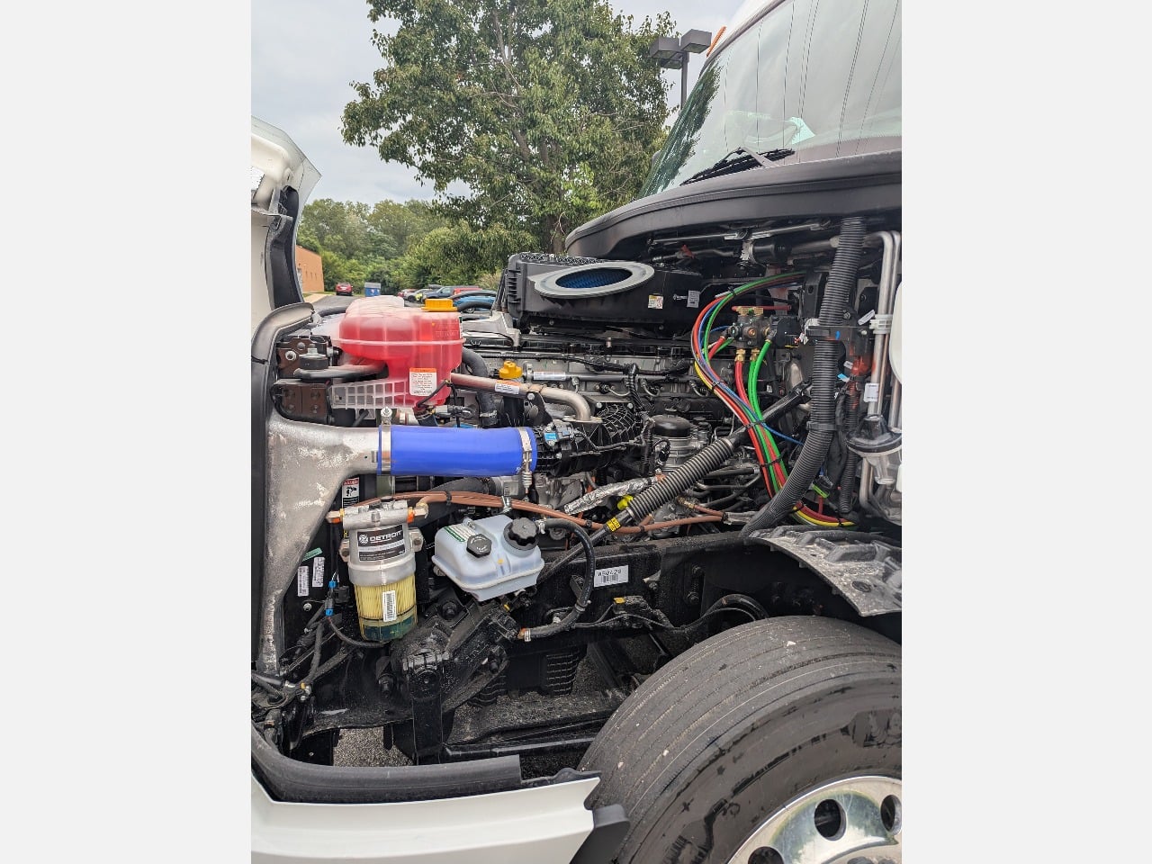 2026 Freightliner - image 11