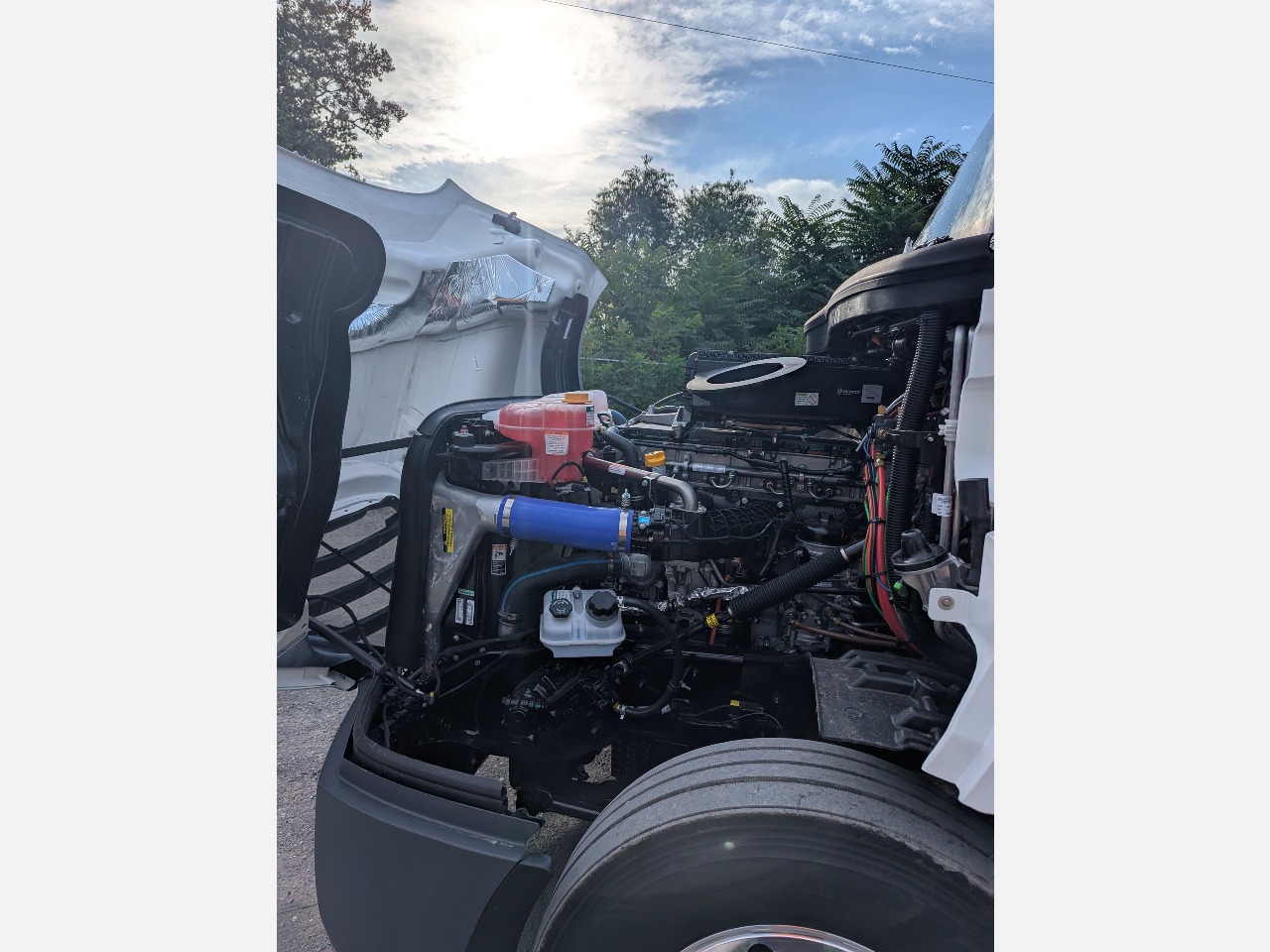 2026 Freightliner - image 22